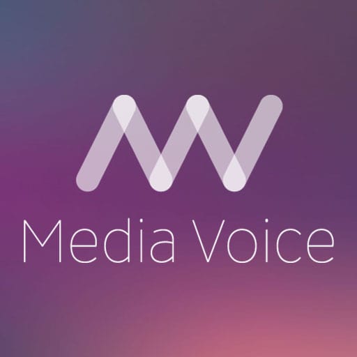 Jolanda Visser, Media Voice Avatar